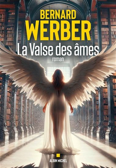 La Valse des âmes - BERNARD WERBER