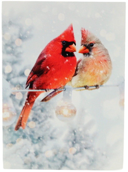 Couple de cardinaux sur une branche