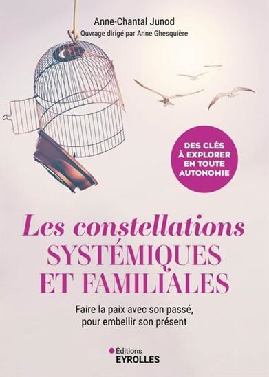 Les Constellations systémiques et familiales : faire la paix avec son passé, pour embellir son présent - ANNE-CHANTAL JUNOD