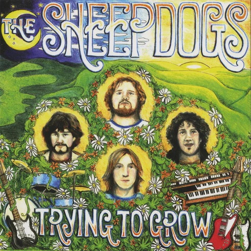 Trying to Grow - THE SHEEPDOGS
