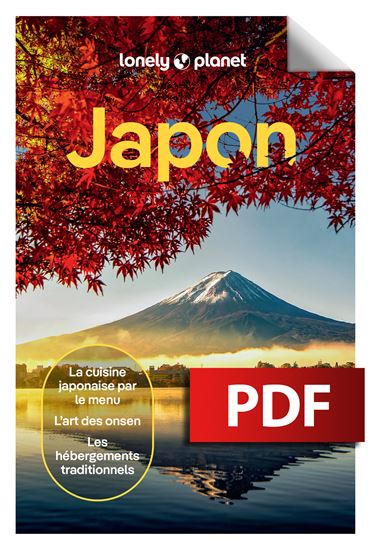 Japon 8e éd. - COLLECTIF