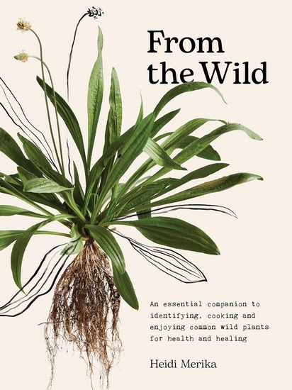 From the Wild: The essential companion to identifying, using and enjoying common wild plants for health and healing - HEIDI MERIKA