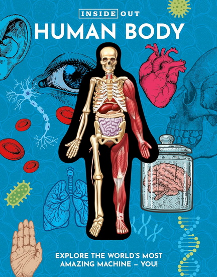 Inside Out Human Body: Explore the World's Most Amazing Machine - You! - LUANN COLUMBO