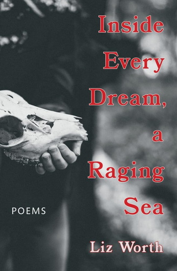 Inside Every Dream, a Raging Sea - LIZ WORTH