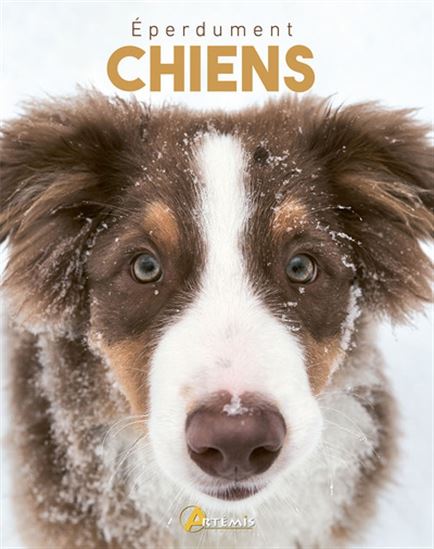 Éperdument chiens - COLLECTIF