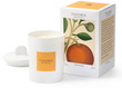 Bougie soja 50h Miel d'oranger