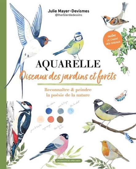 Aquarelle, oiseaux des jardins et des bois - JULIE MAYER-DEVISMES