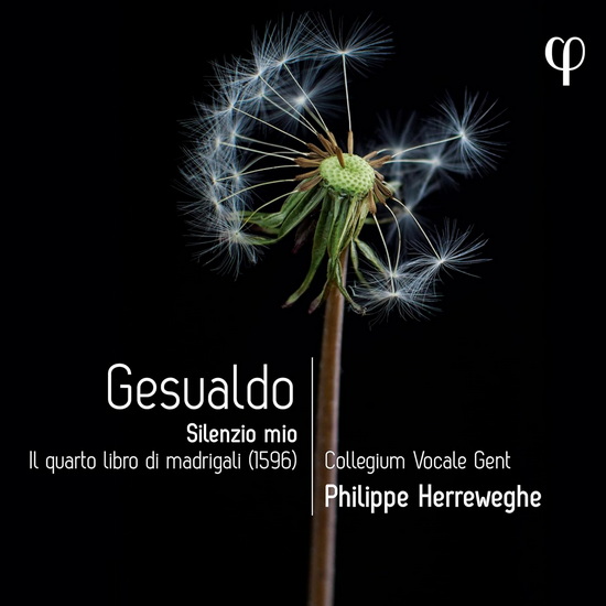 Gesualdo: Silenzio mio - Il quarto libro di madrigali - CARLO GESUALDO