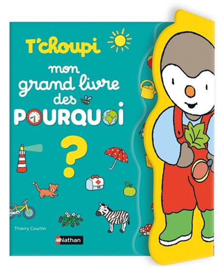 Mon grand livre des pourquoi - THIERRY COURTIN