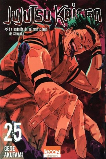 Jujutsu Kaisen #25 - GEGE AKUTAMI
