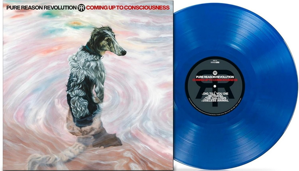 Coming Up To Consciousness (Vinyle) - PURE REASON REVOLUTION