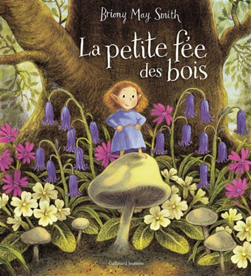 La Petite fée des bois - BRIONY MAY SMITH