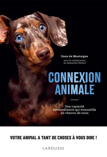 Connexion animale - ILANA DE MONTAIGNE