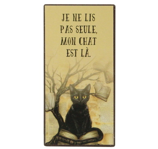 Aimant - je ne lis pas seule
