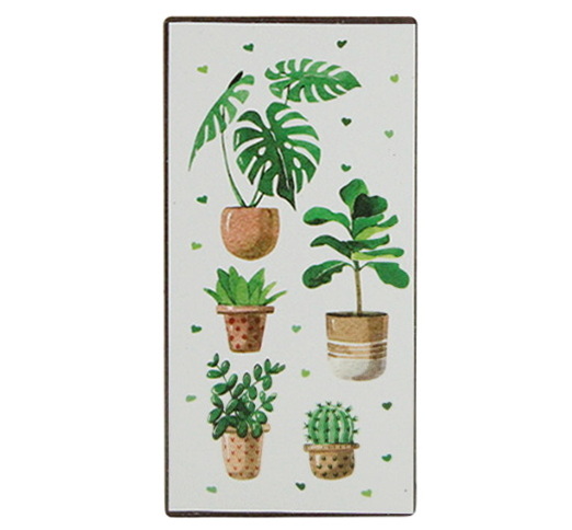 Aimant - plantes