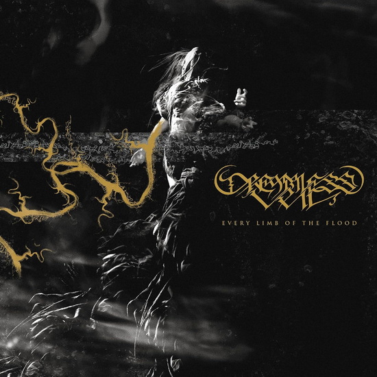 Every Limb Of The Flood (Vinyle) - DREAMLESS VEIL