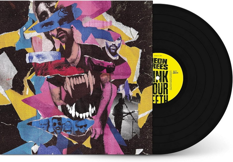 Sink Your Teeth (Vinyle) - NEON TREES