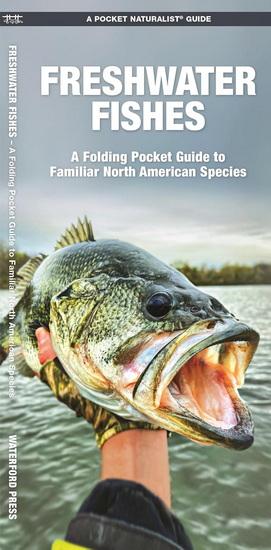 Freshwater Fishes: A Folding Pocket Guide to Familiar North American Species - JAMES KAVANAGH - RAYMOND LEUNG