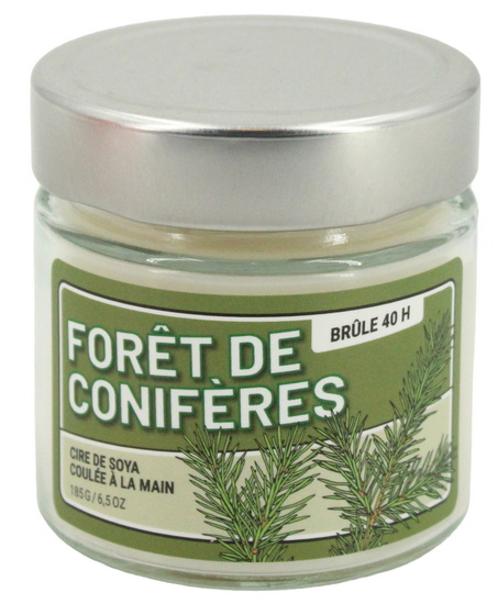 Chandelle Forêt de conifères