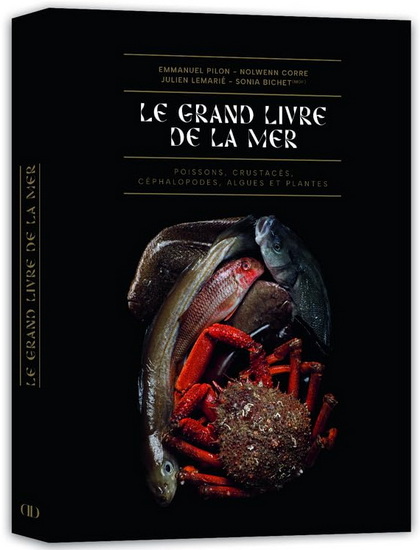 Grand livre de la mer - Collectif
