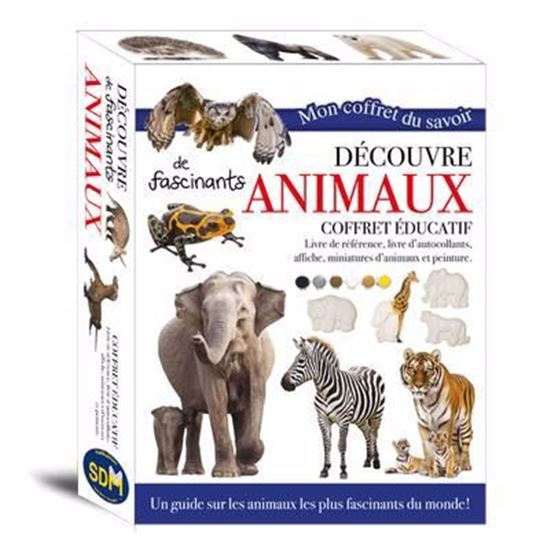 Découvre de fascinants animaux Cof. - COLLECTIF