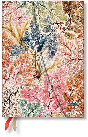 Agenda midi 2026 Anemone 1s/2p