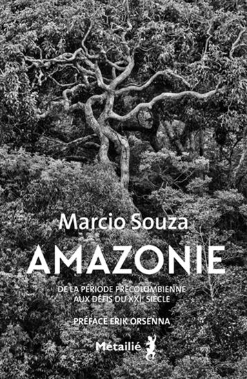 Amazonie : de la période précolombienne aux défis du XXIe siècle - MÁRCIO SOUZA