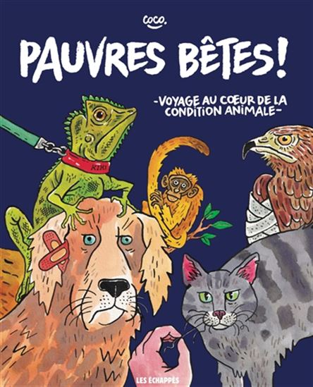 Pauvres bêtes ! - COCO
