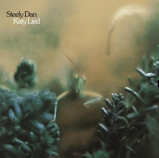 Katy Lied (Vinyle) - STEELY DAN