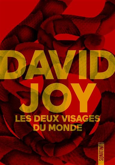 Les Deux visages du monde - DAVID JOY