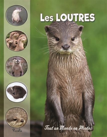 Les Loutres N. éd. - COLLECTIF