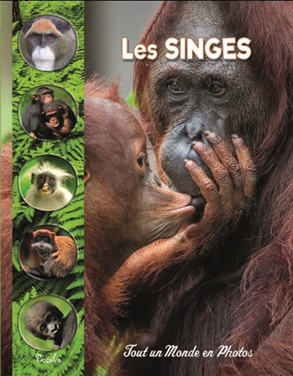 Les Singes N. éd. - COLLECTIF