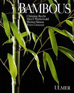 Bambous - CHRISTINE RECHT & AL