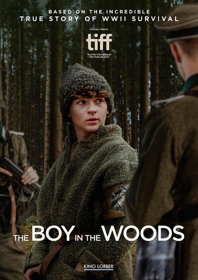 Boy in the Woods, The (DVD)