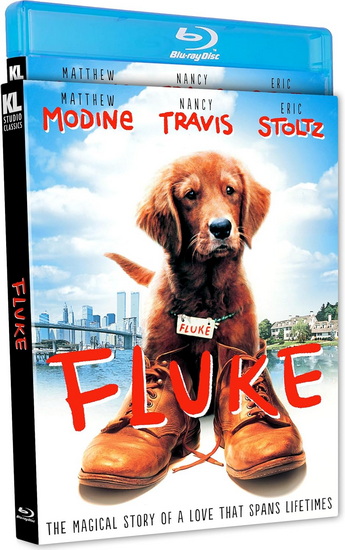 Fluke (1995) (Blu-ray)