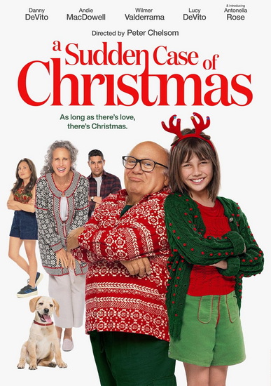 Sudden Case of Christmas, A (DVD)