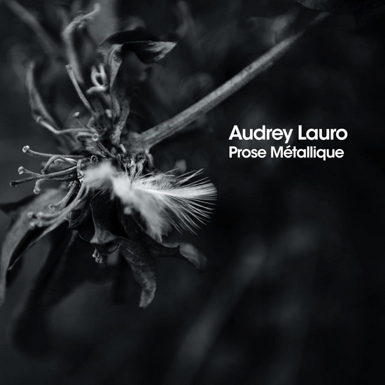 Prose Metallique - AUDREY LAURO