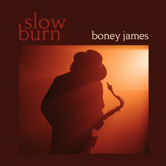 Slow Burn (Vinyle) - BONEY JAMES