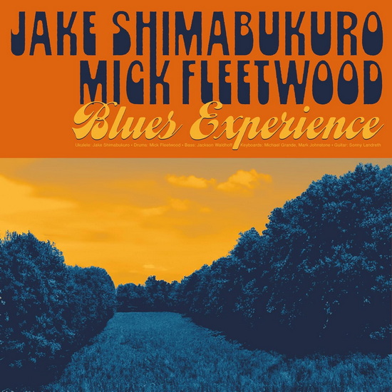 Blues Experience (Vinyle) - MICK JAKE FLEETWOOD SHIMABUKURO
