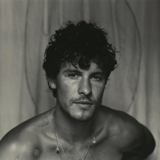 Shawn (Vinyle) - SHAWN MENDES