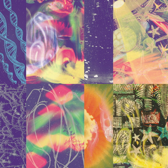 The Neon Gate - NAP EYES