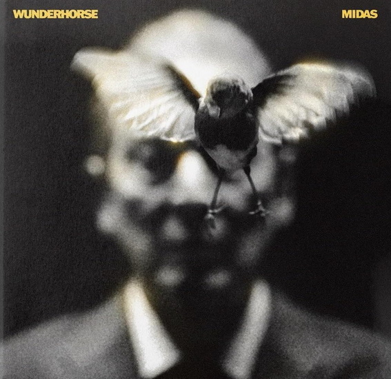 Midas - WUNDERHORSE