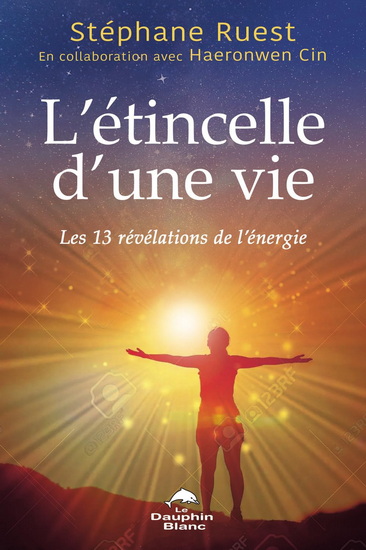 L&#39;Étincelle d&#39;une vie : Les 13 révélations de l&#39;énergie - STÉPHANE RUEST
