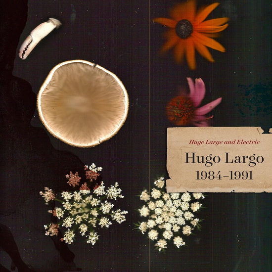 Huge, Large And Electric: Hugo Largo 1984-1991 (2CD) - HUGO LARGO