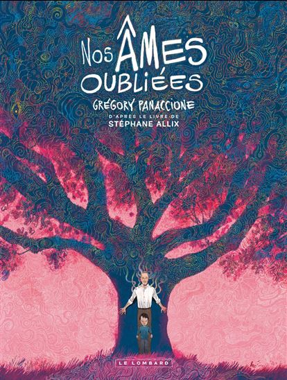 Nos âmes oubliées - GRÉGORY PANACCIONE - STÉPHANE ALLIX