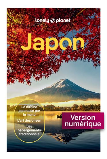 Japon 8e éd. - COLLECTIF