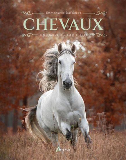 Cheval : un univers fabuleux N. éd. - EMMANUELLE DAL'SECCO
