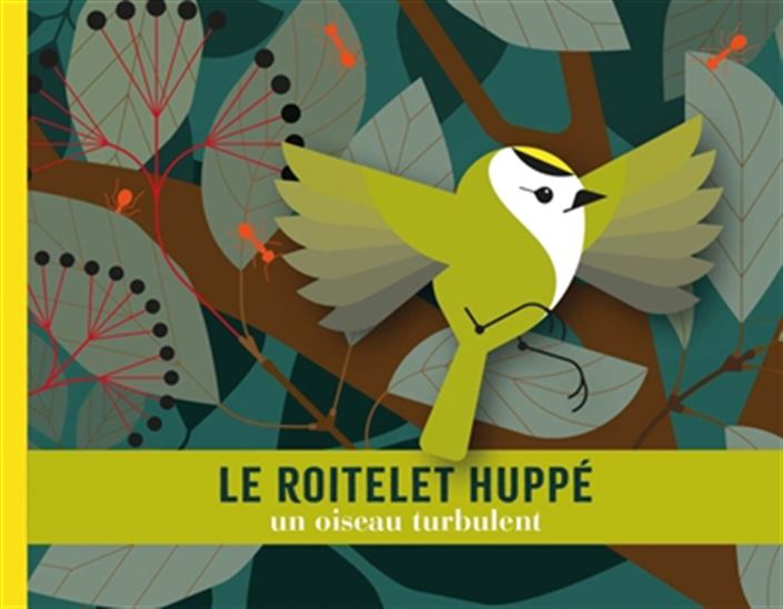 Le Roitelet huppé : un oiseau turbulent - CÉCILE JACOUD
