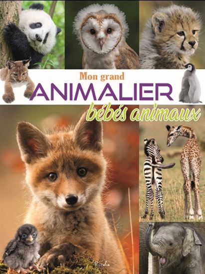 Mon grand animalier des bébés animaux - COLLECTIF