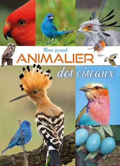 Mon grand animalier des oiseaux - COLLECTIF